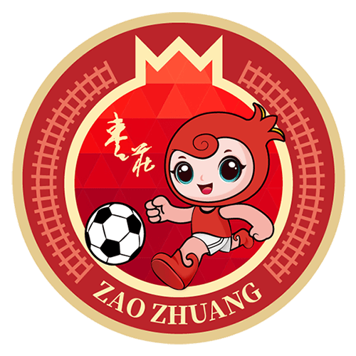 枣庄丰源轮胎队